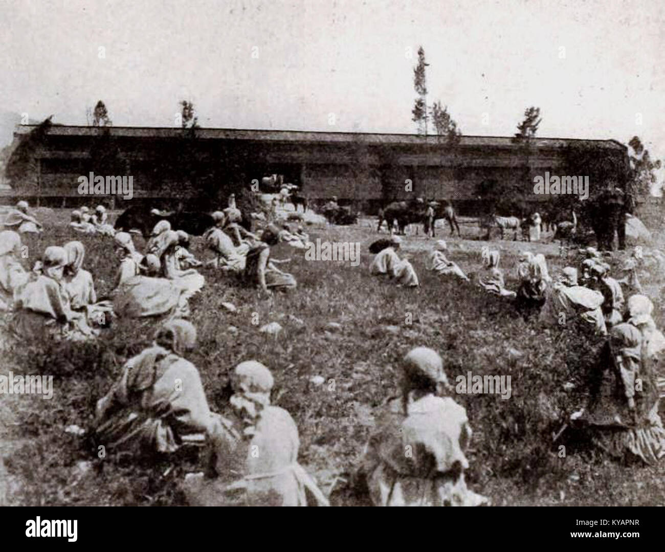 Édition illustrée de la Bible de 1921, fournissant une représentation visuelle des histoires bibliques et de l'éducation religieuse. Banque D'Images