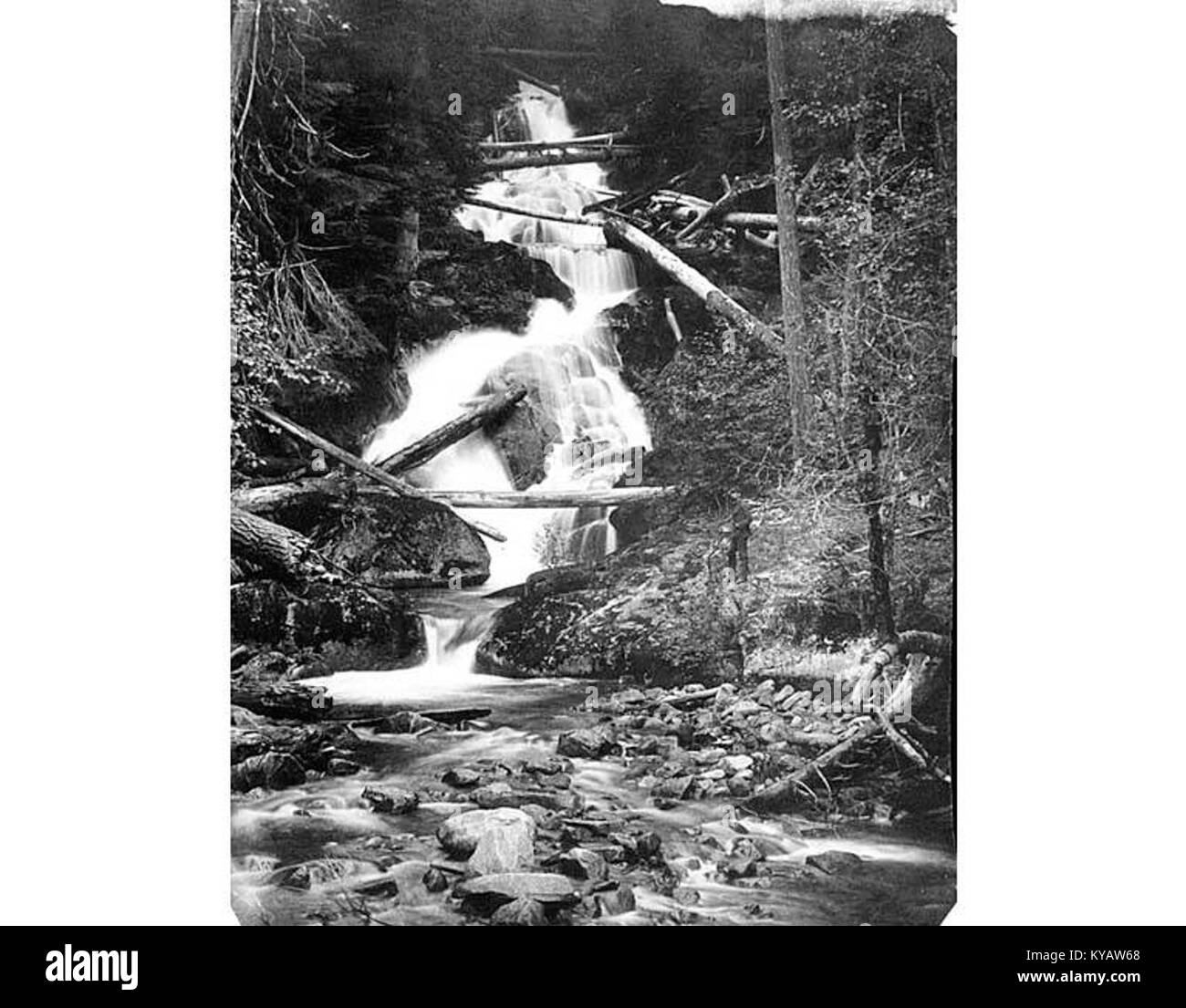 1894 united states photography Banque de photographies et d’images à ...