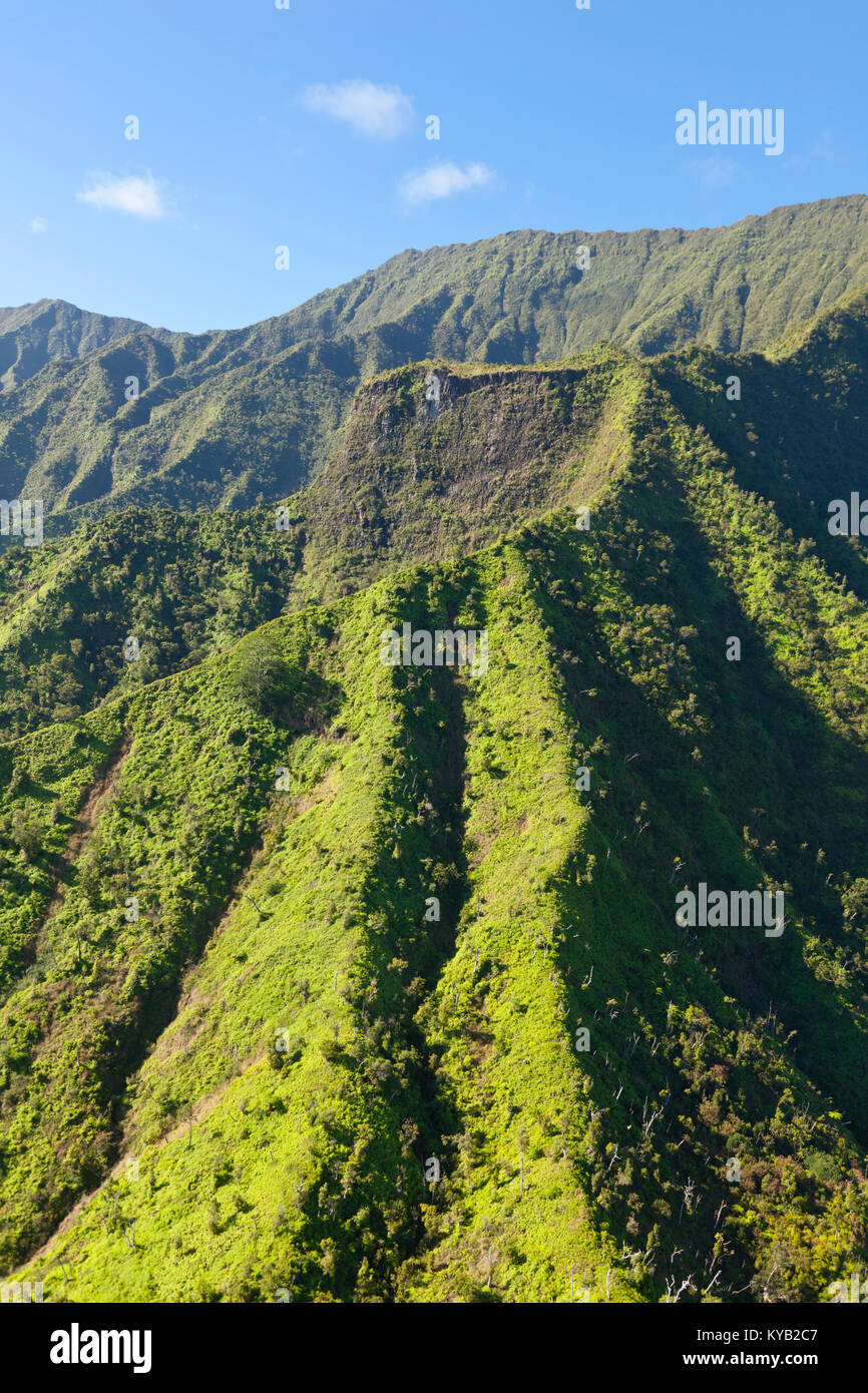 Vue aérienne de l'hélicoptère à la forêt tropicale à Kauai, Hawaï avec ses vallées profondes. Banque D'Images