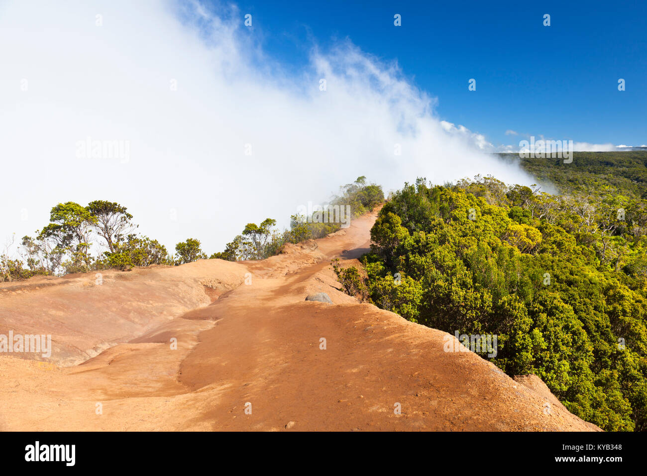 La fameuse Kalalau Valley à gauche complètement couvert de nuages à Kauai, Hawaï. Le chemin est le début de l'Pihea Trail. Banque D'Images