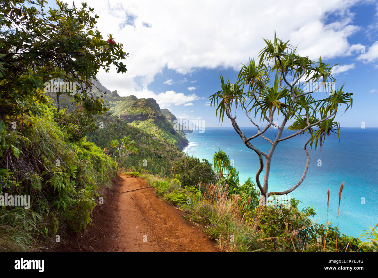Afficher le long de la Côte de Na Pali Kalalau Trail de la région de Kauai, Hawaii. Banque D'Images
