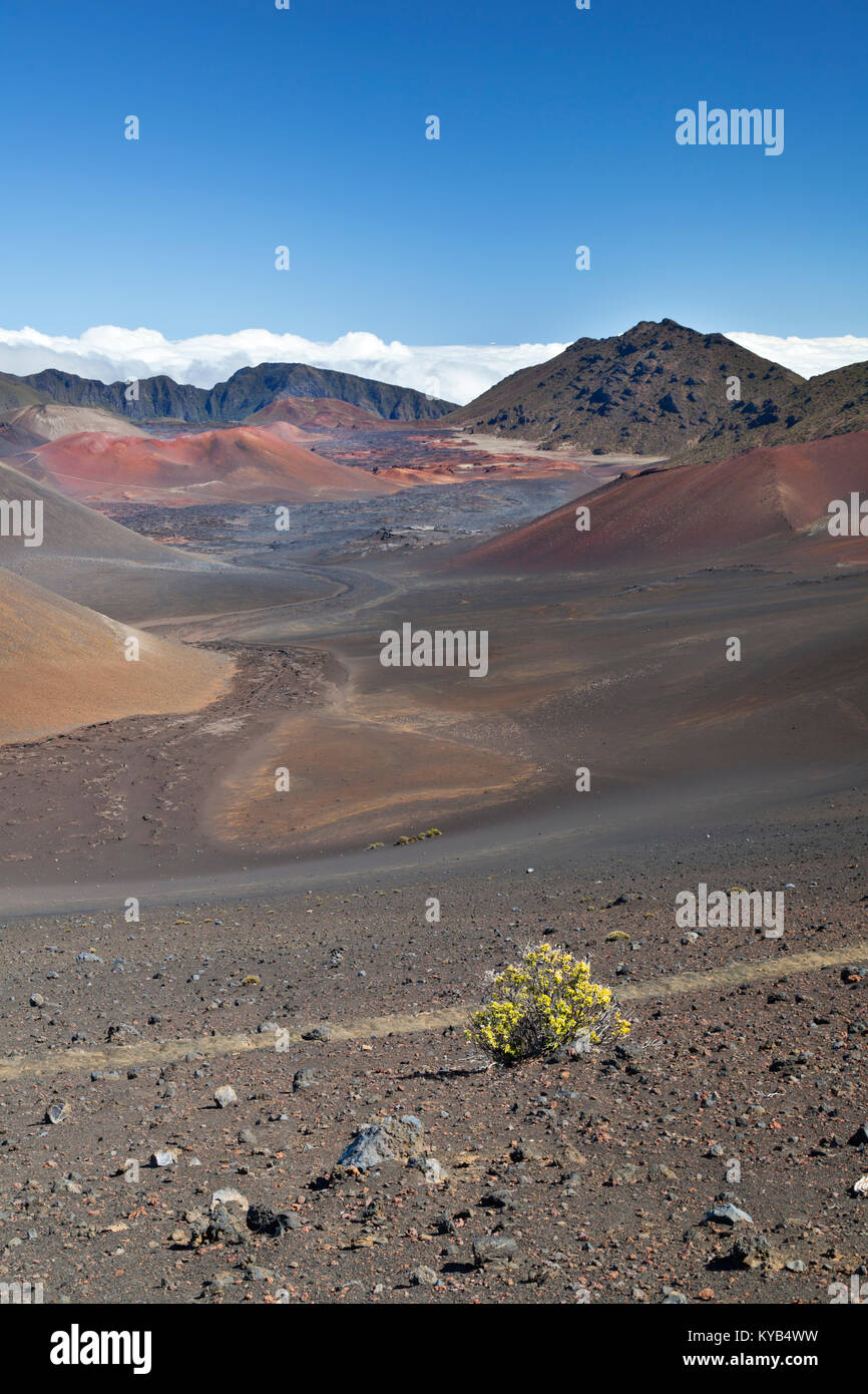 Vue sur le Cratère de Haleakala colorés à Maui, Hawaii. Banque D'Images