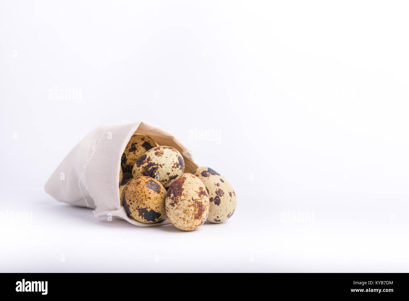 Oeufs de caille isolé sur fond blanc Banque D'Images
