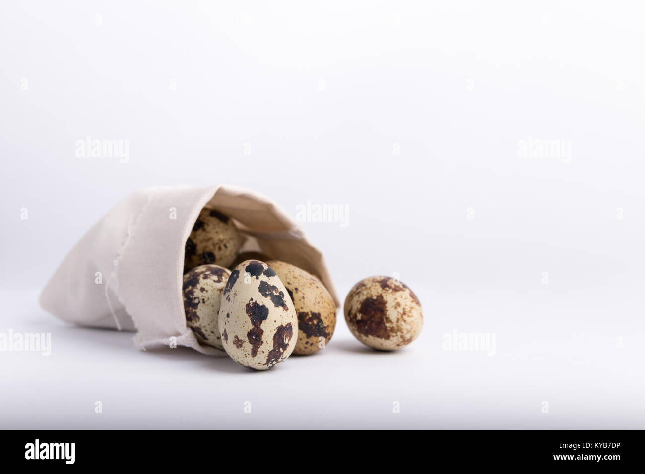 Oeufs de caille isolé sur fond blanc Banque D'Images