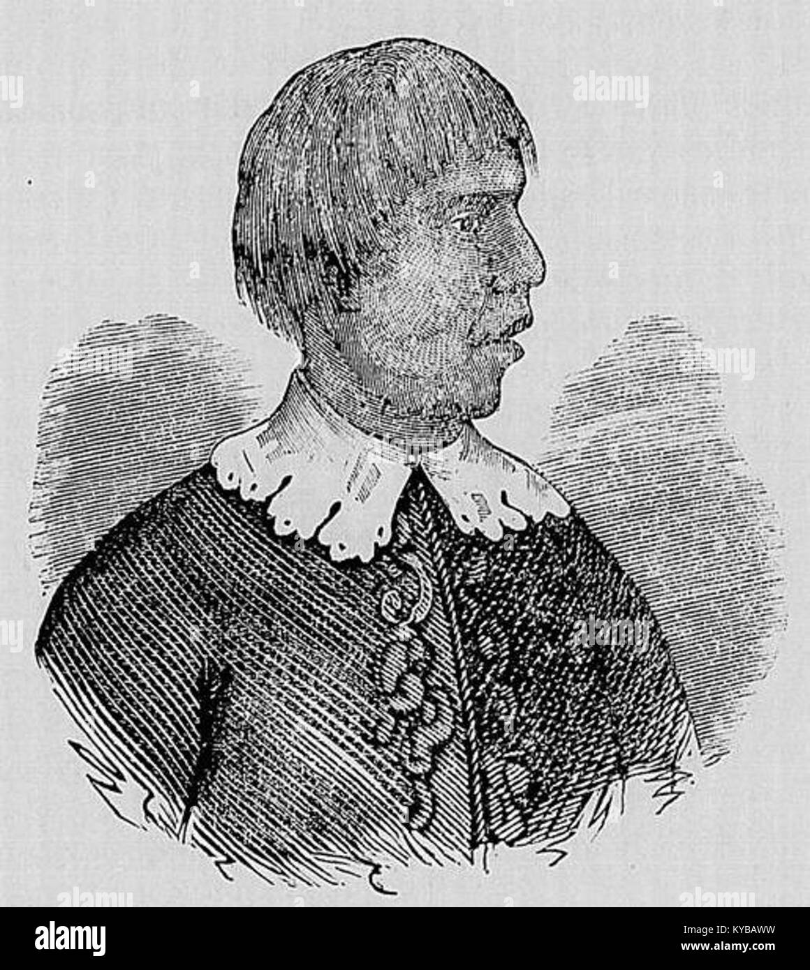 Martim Affonso était un leader du peuple Triminin ; « Ararygboia » se réfère à un cobra féroce, symbolisant la force et le leadership dans sa communauté. Banque D'Images