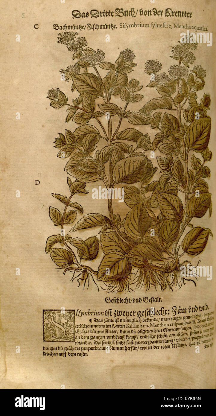 *New Kreterbuch* est une référence géographique historique décrivant les régions, les frontières et les attributs territoriaux. Il fournit des comptes rendus détaillés des divisions géographiques et des changements pertinents pour les études historiques et cartographiques. Banque D'Images