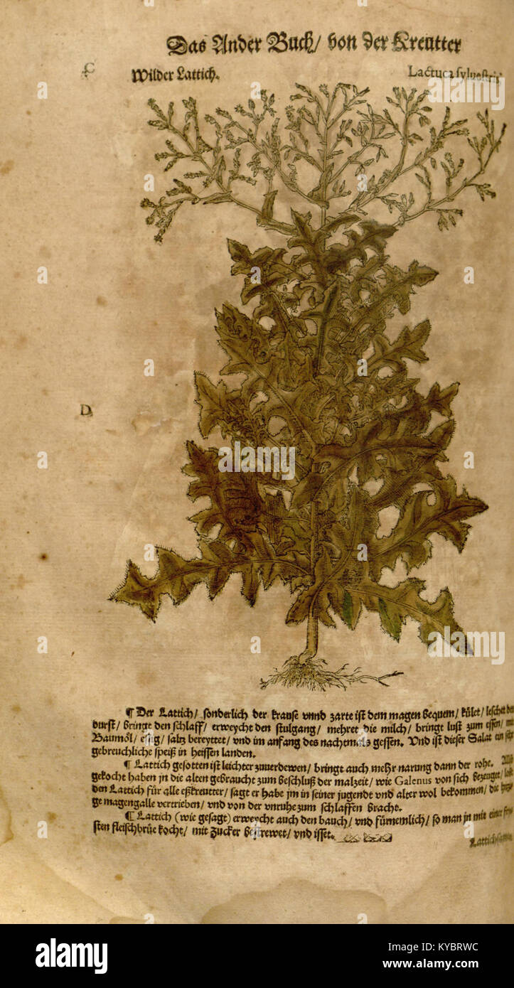 New Kreüterbuch BHL9500441 Banque D'Images