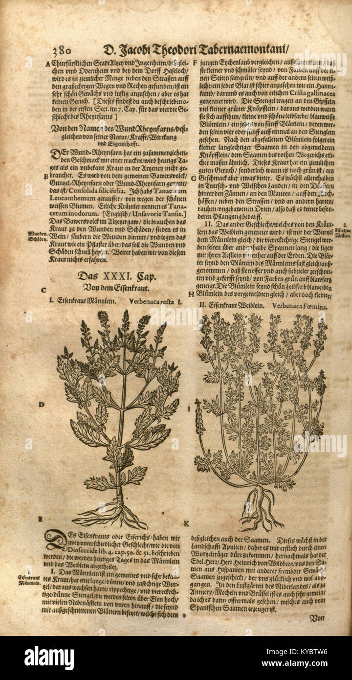 Ce livre botanique fournit des informations détaillées sur diverses herbes, y compris des illustrations et des descriptions complètes de leurs utilisations et caractéristiques. Banque D'Images