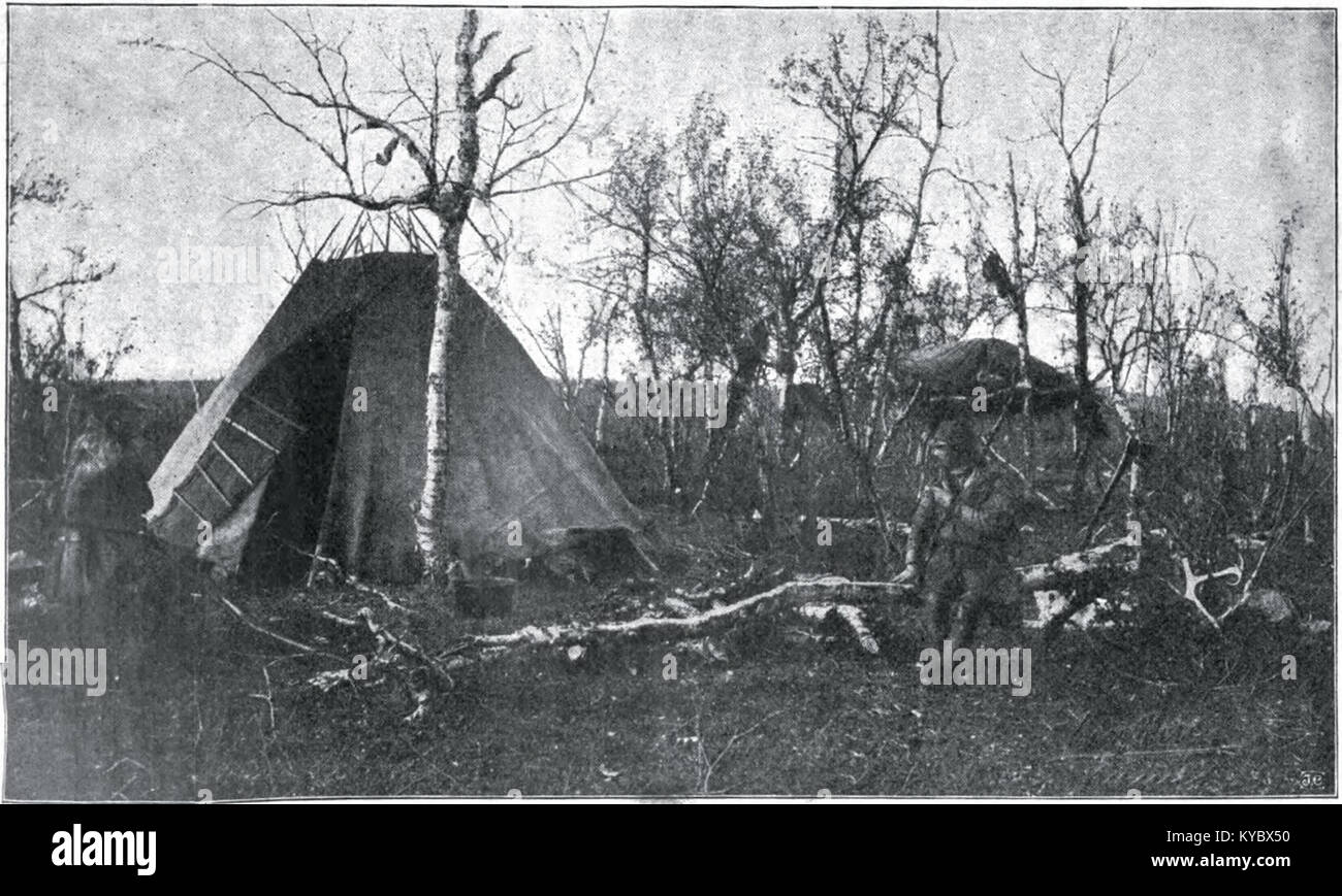 L’illustration du volume deux de The Wonderful Adventures of Nils représente une forêt suédoise montagneuse avec des bouleaux de montagne et des bouleaux de lappkäta éparpillés, sur une pente rocheuse surplombant l’eau du lac, illustrant l’accent mis par l’auteur sur la nature et le terrain. Banque D'Images