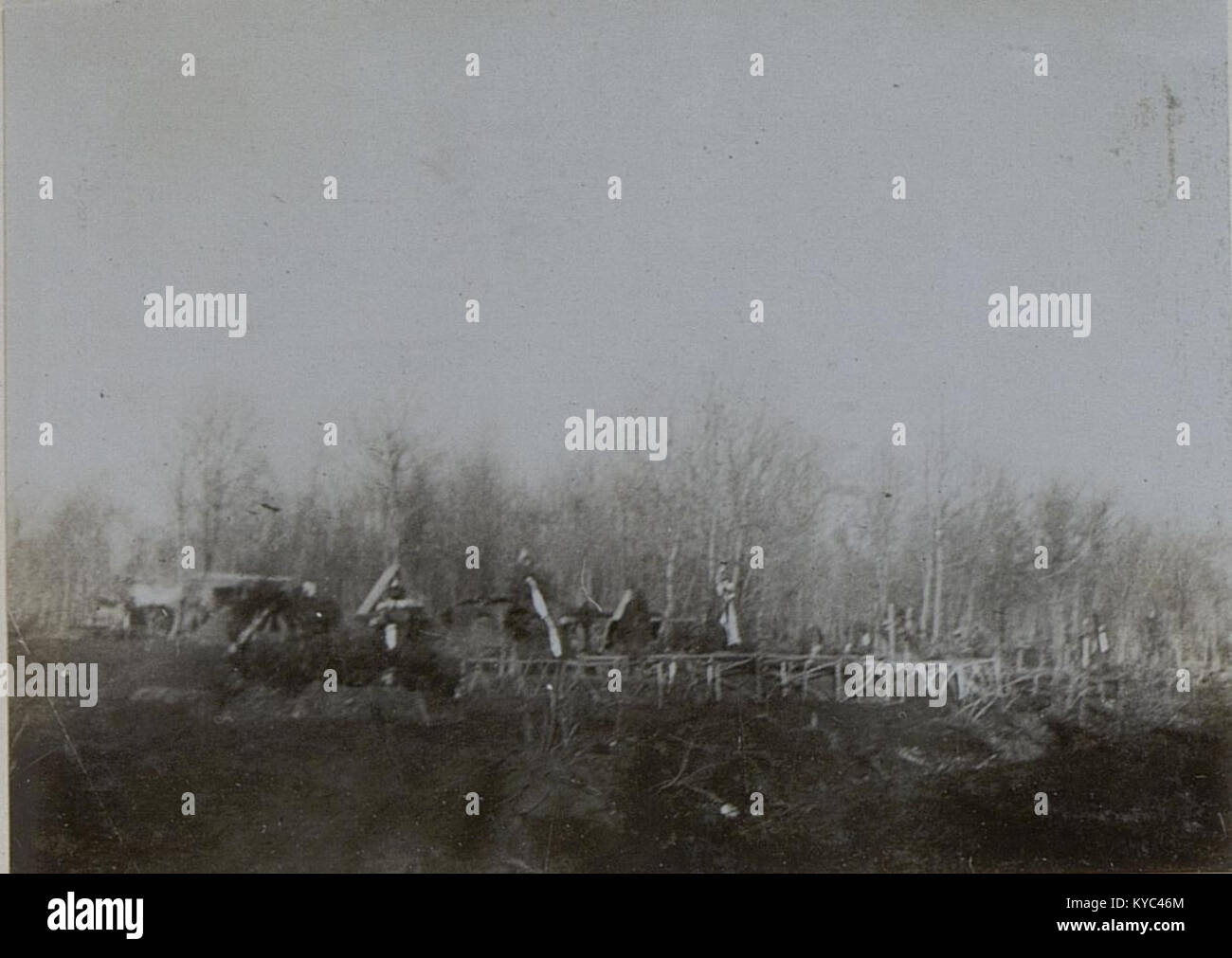 Une photographie montrant des tombes d'officiers dans la forêt de Wygoda, servant de rappel solennel de l'histoire militaire et des sacrifices consentis lors des conflits du début du XXe siècle. Banque D'Images