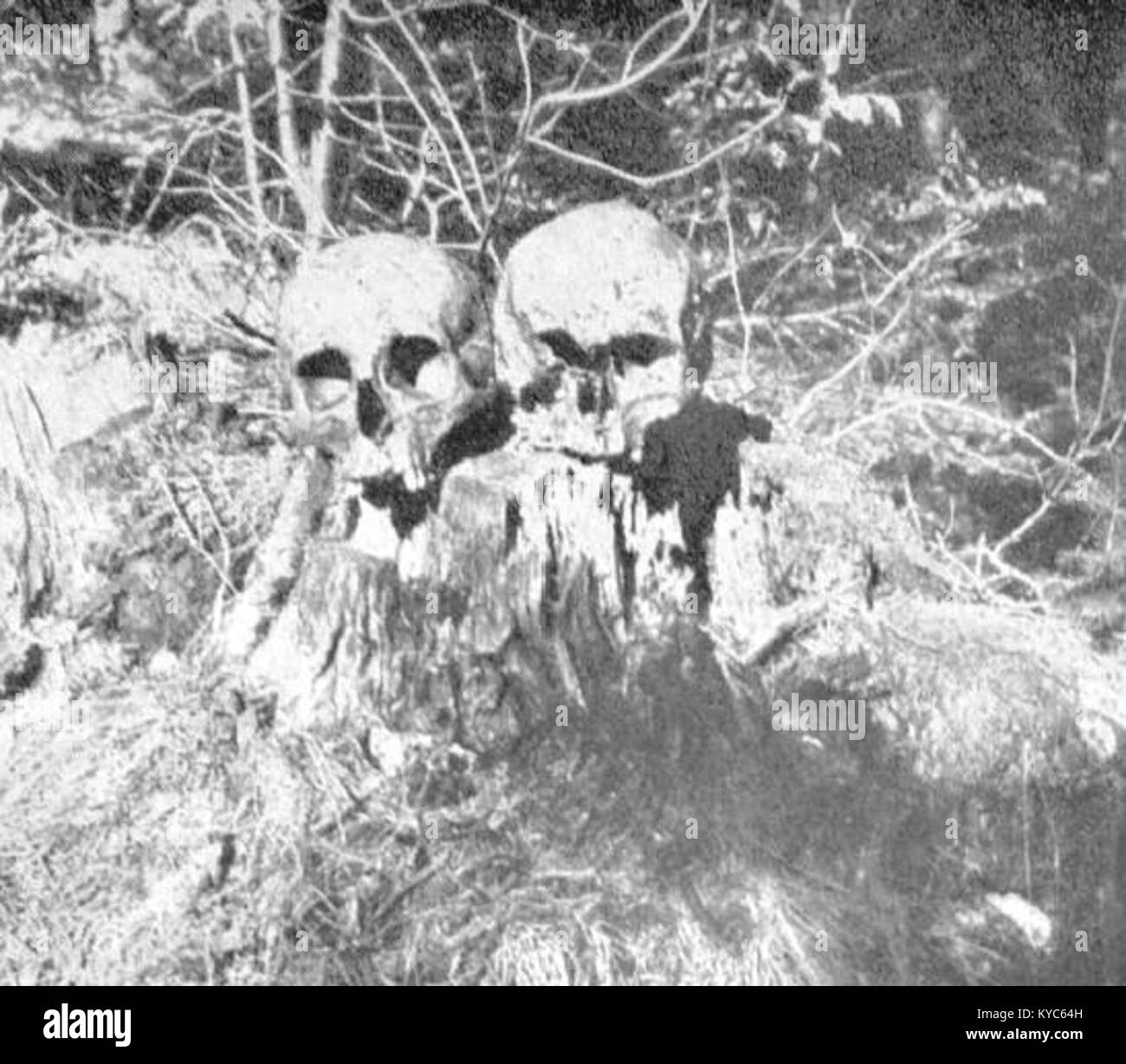 Restes apportés de Krimska Jama (grotte du crime) en Slovénie, associés aux événements de la seconde Guerre mondiale et aux efforts de récupération ultérieurs. Banque D'Images