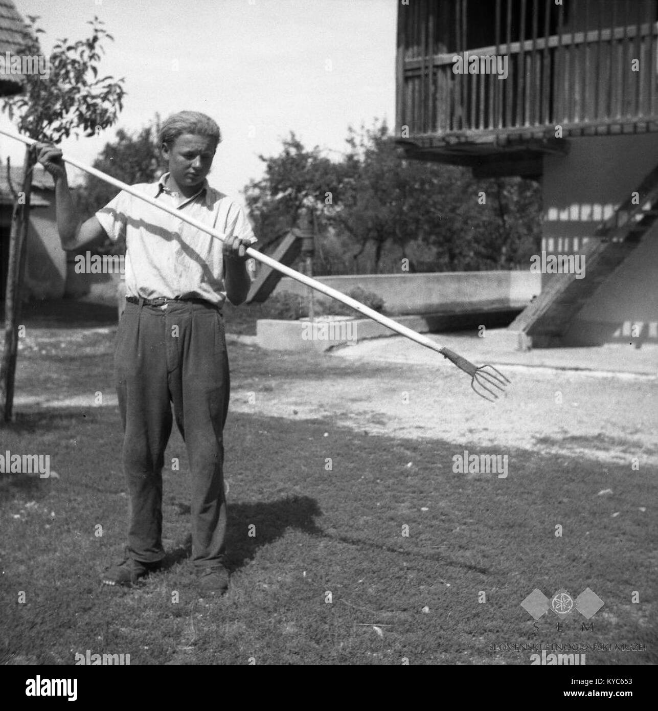 Osti za ribe (lovit platnice dans klene), 4 démographique voir Gradišče, Blaževč 1952 pri Banque D'Images