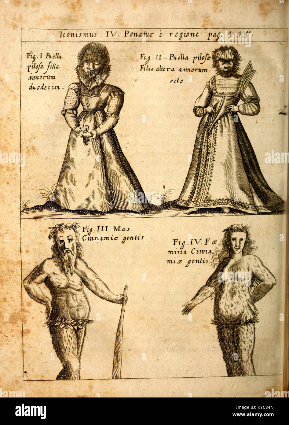 La planche IV de la « Physica Curiosa » de Gaspar Schott en 1662 présente des illustrations gravées représentant des merveilles naturelles et mécaniques, reflétant la curiosité scientifique et le savoir-faire artistique du XVIIe siècle. Banque D'Images