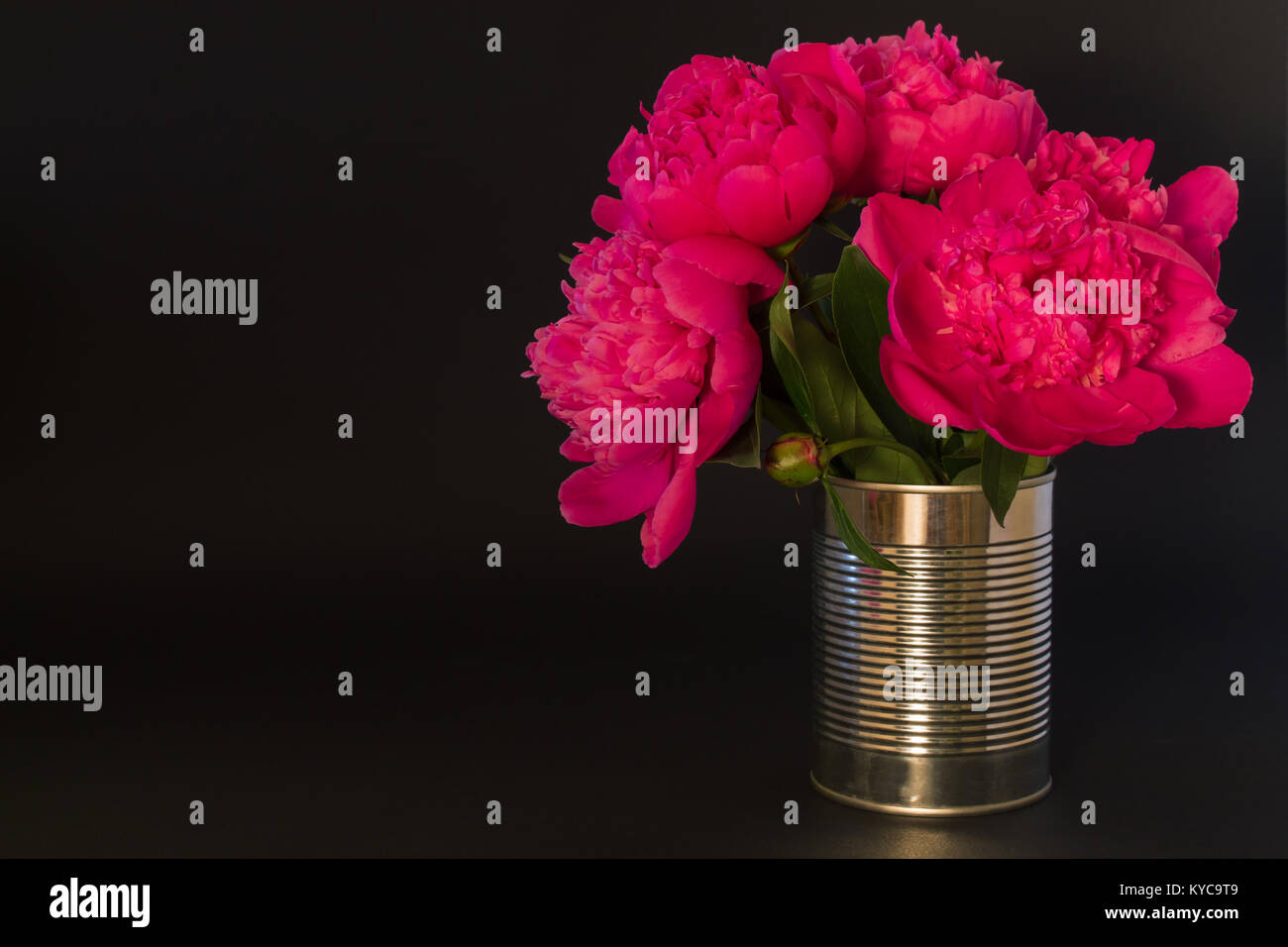 Bouquet de pivoines roses dans un vase en métal sur fond noir Banque D'Images