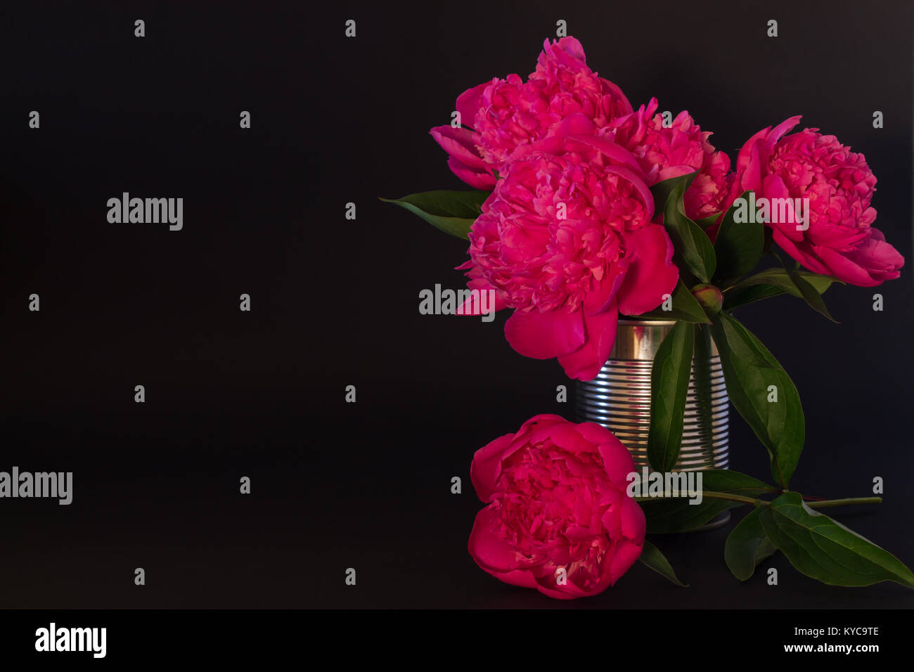 Bouquet de pivoines rose dans un vase d'étain sur fond noir Banque D'Images