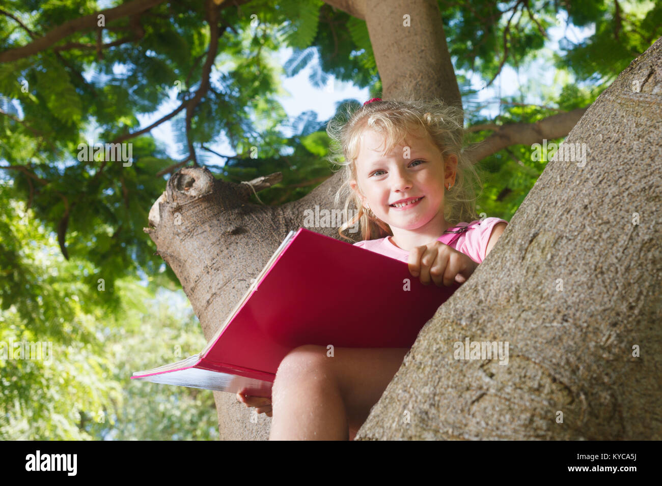 Fille d'âge préscolaire avec livre assis sur l'arbre Banque D'Images