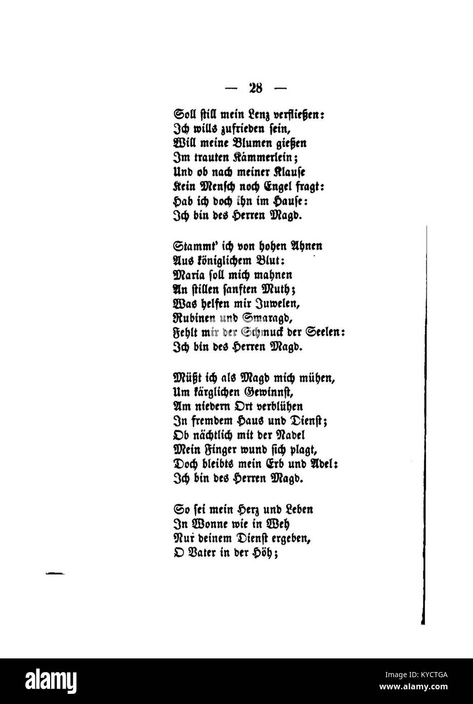 'Palmblätter (Gerok) 028' est une collection botanique documentant les feuilles de palmier, une étude des espèces végétales et leur classification dans le domaine de la botanique. Banque D'Images