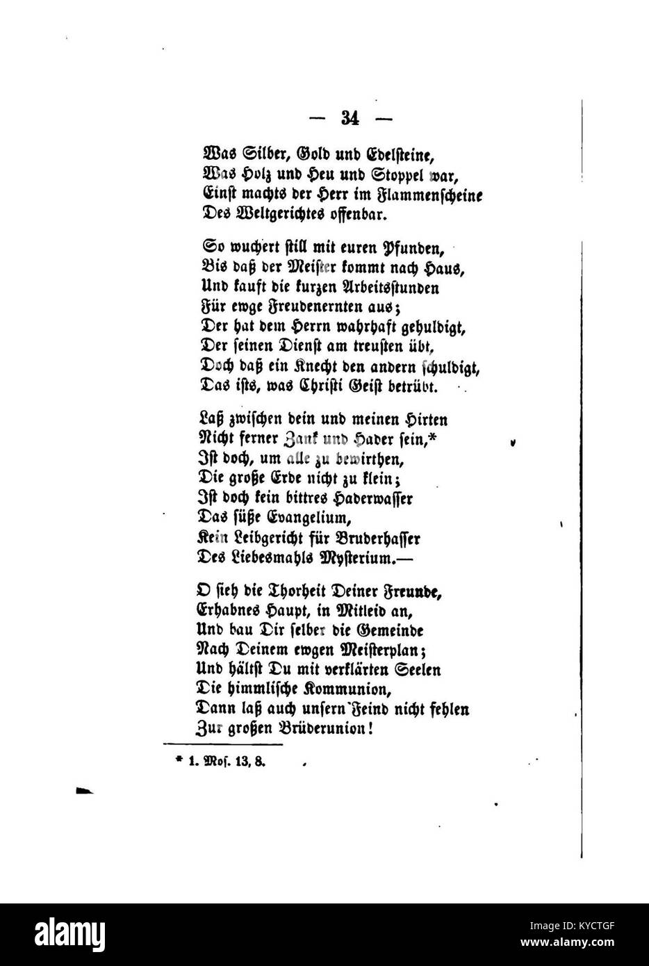 Cette plaque botanique de Gerok intitulée « Palmblätter » illustre les feuilles de palmier en mettant l'accent sur leur structure, leur forme et leur venation, fournissant des détails scientifiques pour référence botanique. Banque D'Images