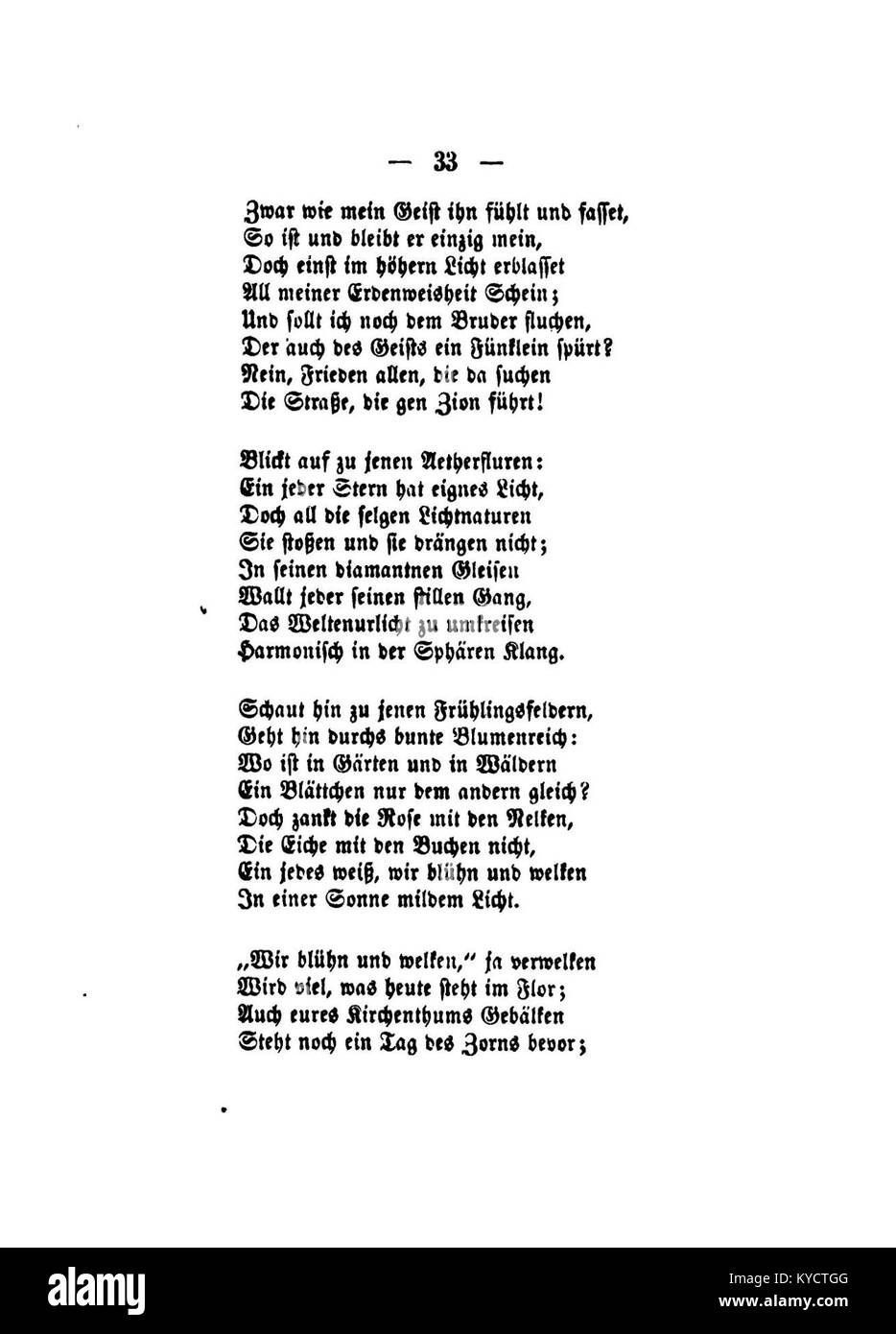 Une illustration de Gerok intitulée 'Palmblätter' montrant des dessins botaniques détaillés de feuilles de palmier, mettant en évidence la structure des feuilles et leur forme naturelle dans l'étude scientifique ou artistique. Banque D'Images