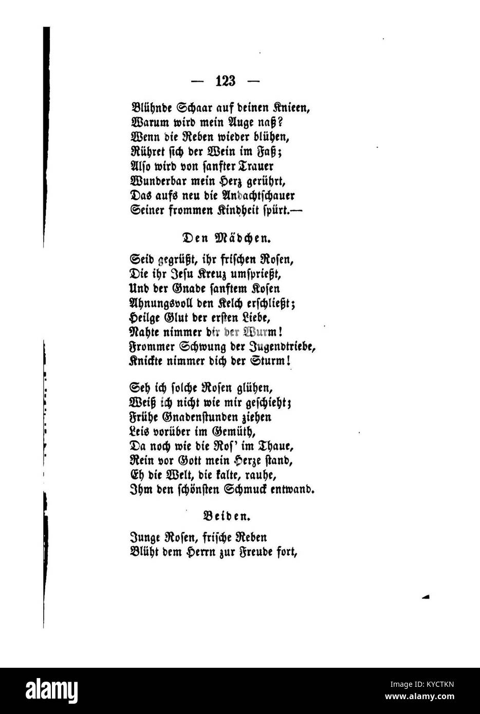 'Palmblätter (Gerok) 123' est une œuvre d'art botanique axée sur les feuilles de palmier, mettant l'accent sur la texture et la structure des feuilles dans un cadre naturel. Banque D'Images