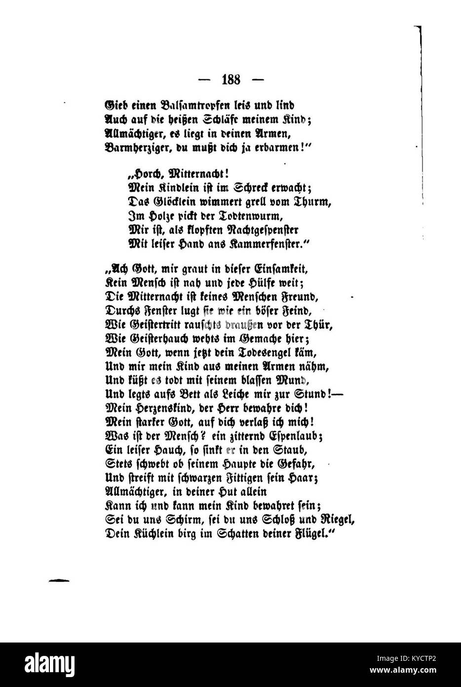 Cette illustration botanique de la série 'Palmblätter' de Gerok montre des feuilles de palmier avec des dessins scientifiques détaillés mettant en évidence la venation et la structure pour la classification. Banque D'Images