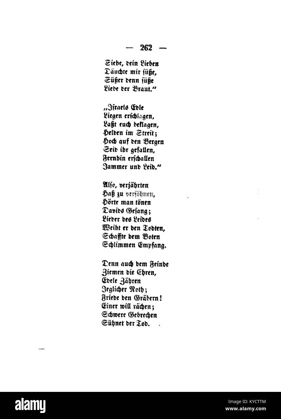 Cette illustration de la série « Palmblätter » de Gerok représente des feuilles de palmier dans les détails scientifiques, mettant en évidence la forme des feuilles, la venation et les caractéristiques structurelles utilisées dans la classification botanique. Banque D'Images