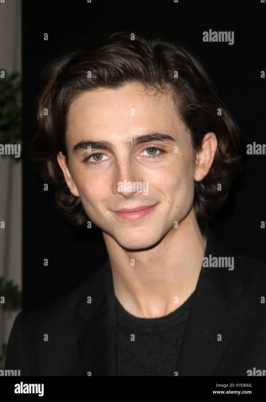 Century City, CA. 13 Jan, 2018. Timothée Chalamet, 43e assemblée annuelle à Los Angeles Film Critics Association Awards à Century City, Californie le 13 janvier 2018. Credit : Faye Sadou/media/Alamy Punch Live News Banque D'Images