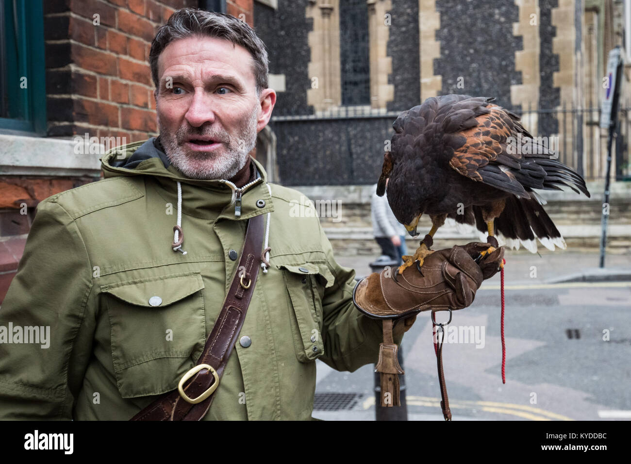 Londres, Royaume-Uni. 14Th Jan, 2018. Handler Wayne Parsons et son 12yr old South American Harris's Hawk 'Rosie' cherchent à décourager les pigeons près de la cathédrale de Southwark. Dans le cadre de la lutte contre les ravageurs, les faucons de la ville peut être utilisé jusqu'à trois fois par semaine pour empêcher les pigeons de se percher ou de nidification. Crédit : Guy Josse/Alamy Live News Banque D'Images