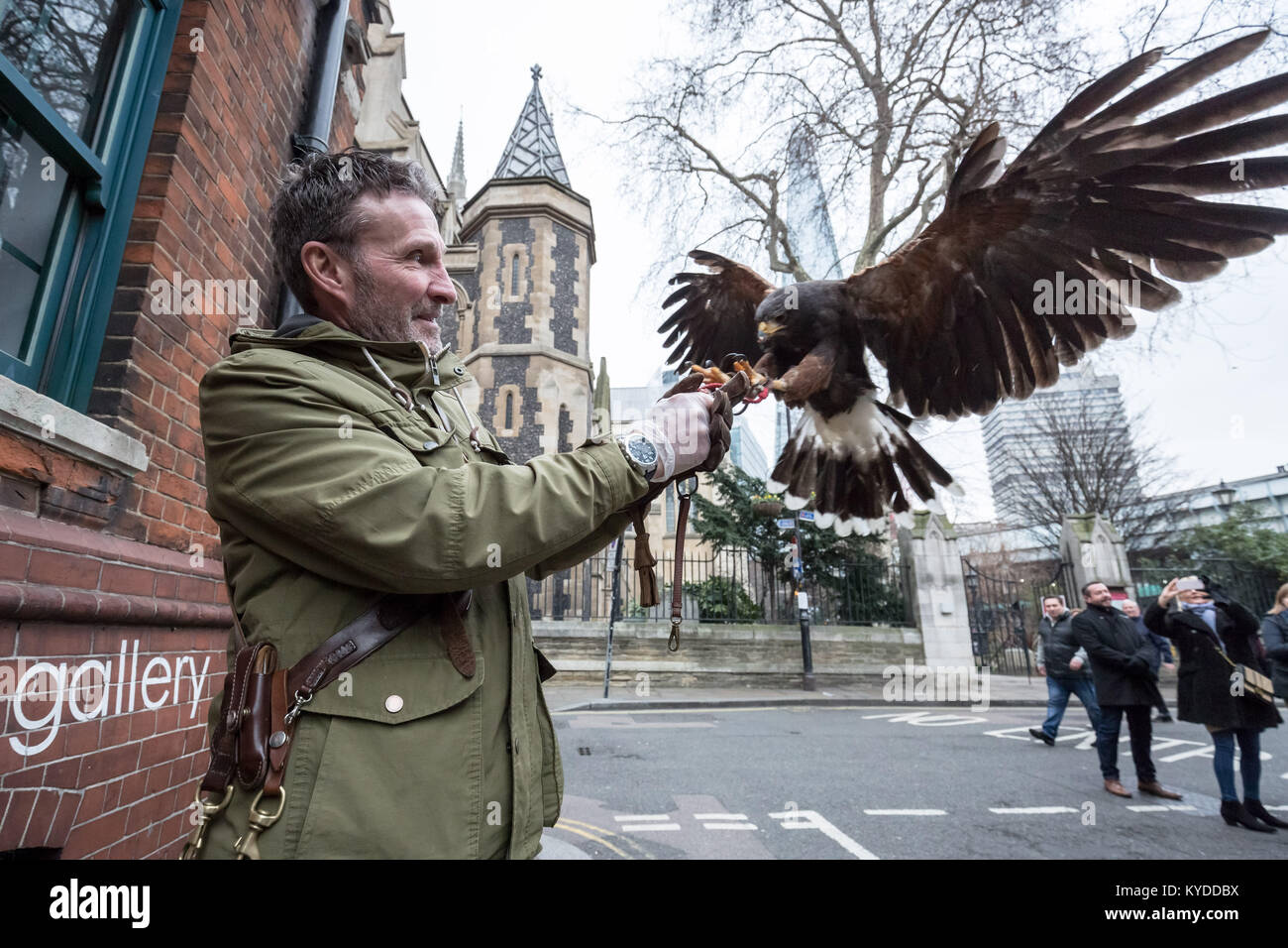 Londres, Royaume-Uni. 14Th Jan, 2018. Handler Wayne Parsons et son 12yr old South American Harris's Hawk 'Rosie' cherchent à décourager les pigeons près de la cathédrale de Southwark. Dans le cadre de la lutte contre les ravageurs, les faucons de la ville peut être utilisé jusqu'à trois fois par semaine pour empêcher les pigeons de se percher ou de nidification. Crédit : Guy Josse/Alamy Live News Banque D'Images