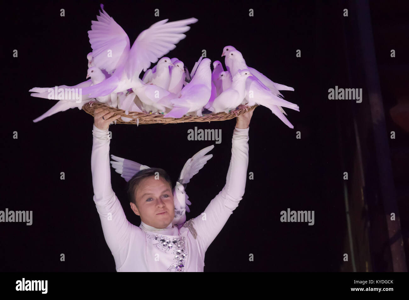 Budapest, Hongrie. 14Th Jan, 2018. Andrejs Fjodorvs de Lettonie effectue son pigeonnier et de chien au cours de la loi sur le gala du 12ème Festival International du Cirque de Budapest s'est tenue à La Capitale Cirque de Budapest à Budapest, Hongrie, 14 janvier 2018. Andrejs Fjodorvs a gagné l'argent prix du festival. Credit : Attila Volgyi/Xinhua/Alamy Live News Banque D'Images