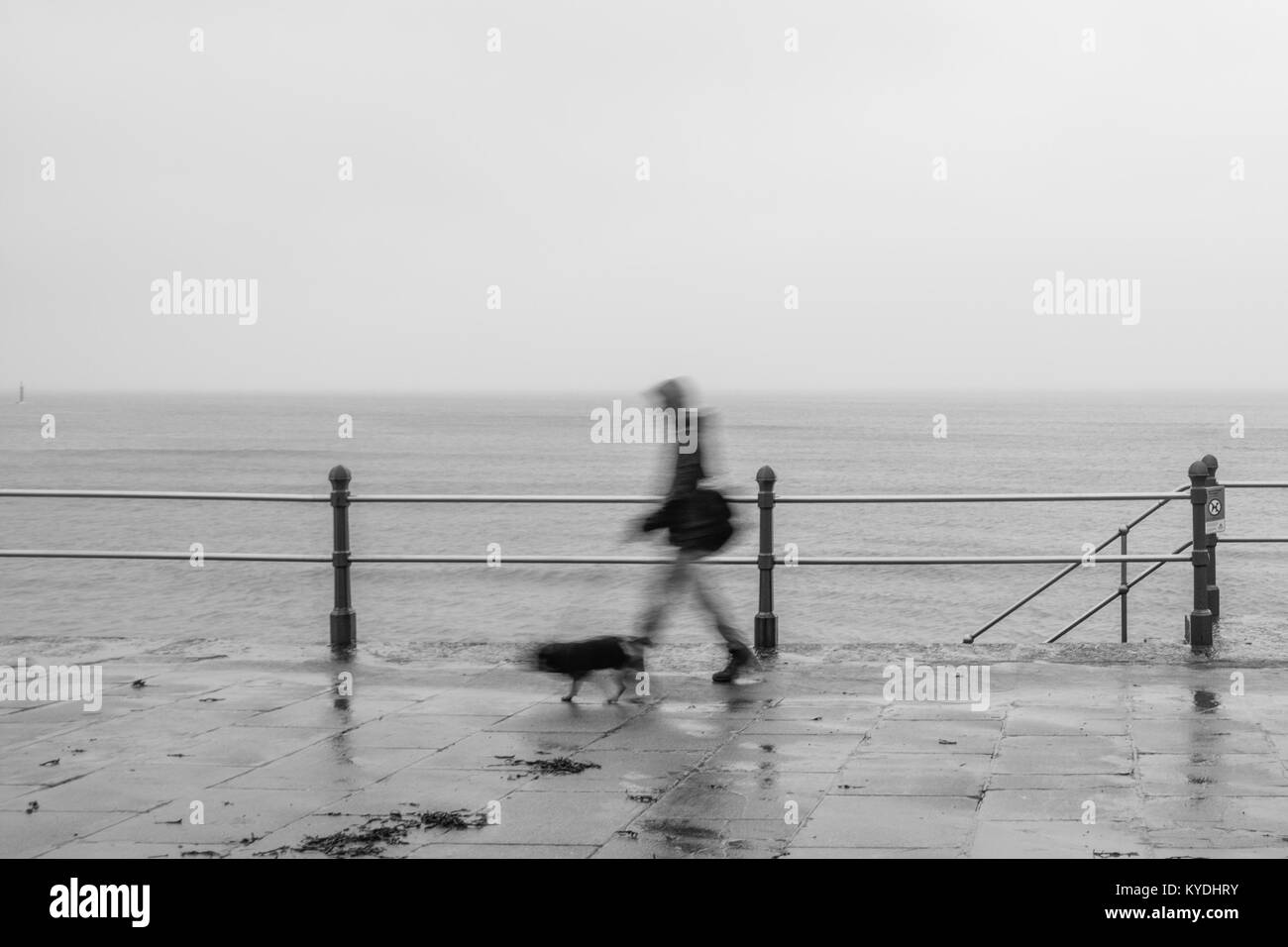 Penzance, Cornwall, UK. 15 Jan, 2018. Météo britannique. C'était une misérable de commencer la journée à Penzance, bleu pour lundi, avec le vent, la pluie et le ciel gris. Crédit : Simon Maycock/Alamy Live News Banque D'Images