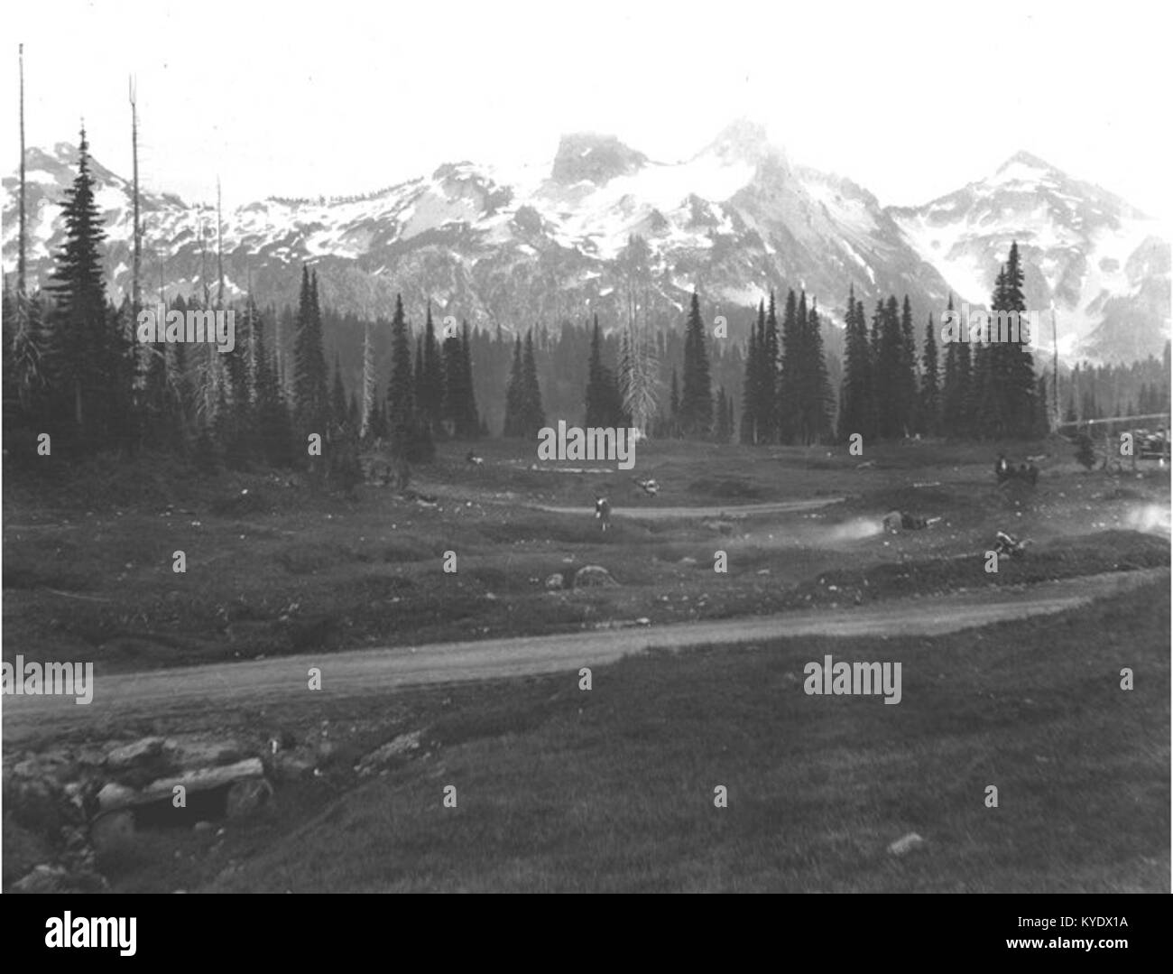 Photographie prise le 5 juillet 1915, montrant la chaîne de montagnes Tatoosh depuis le parc national du Mont Rainier à Washington, États-Unis. L'image capture le paysage alpin et la beauté naturelle de la région. Banque D'Images