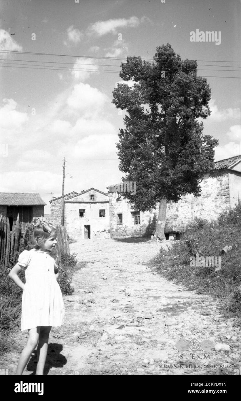 La photographie en noir et blanc de 1955 représente un cadre rural slovène avec un grand tilleul à côté d'une table en pierre, deux maisons traditionnelles en arrière-plan et un enfant assis à la table, reflétant la vie quotidienne à la campagne en Slovénie au milieu du XXe siècle. Banque D'Images