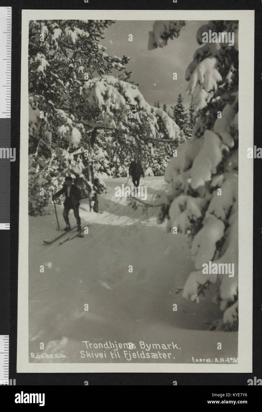 Skivei Trail à Trondhjems Bymark, Norvège, propose un sentier naturel à travers la forêt et les collines, illustrant les loisirs de plein air, la randonnée et le paysage régional en 2015. Banque D'Images