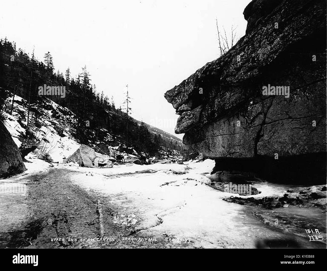 Extrémité supérieure de Box Canyon, sentier du col White, Alaska, le 30 mars 1899 (529) HEGG Banque D'Images