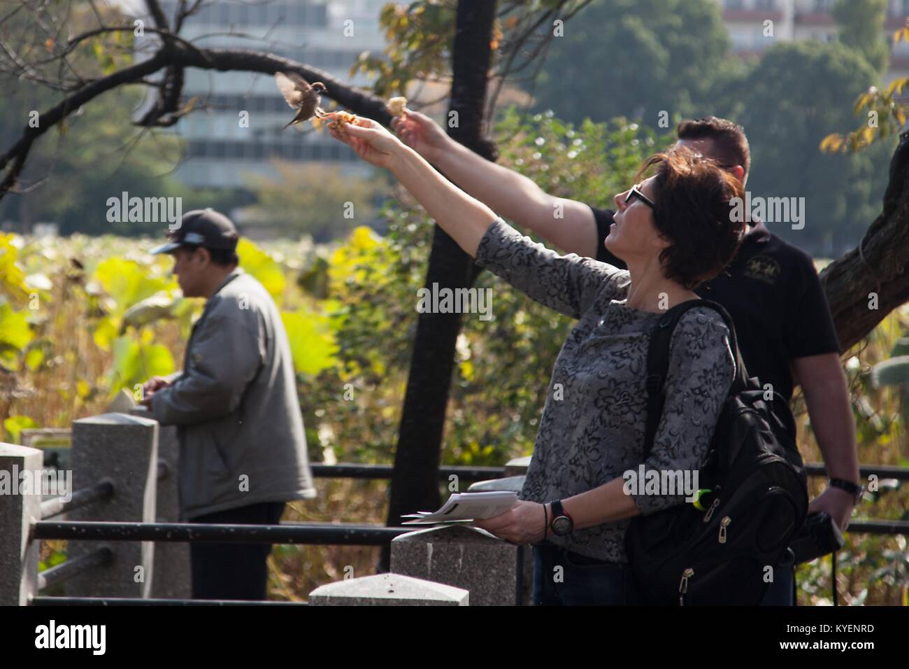 Les visiteurs peuvent contenir jusqu'pain et nourrir les petits oiseaux à la main dans le parc Ueno, un parc public dans le quartier de Ueno de Taitō, Tokyo, Japon, Novembre, 2017. () Banque D'Images