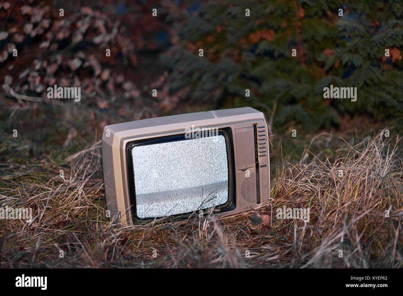 Aucun signal TV dans l'herbe Banque D'Images