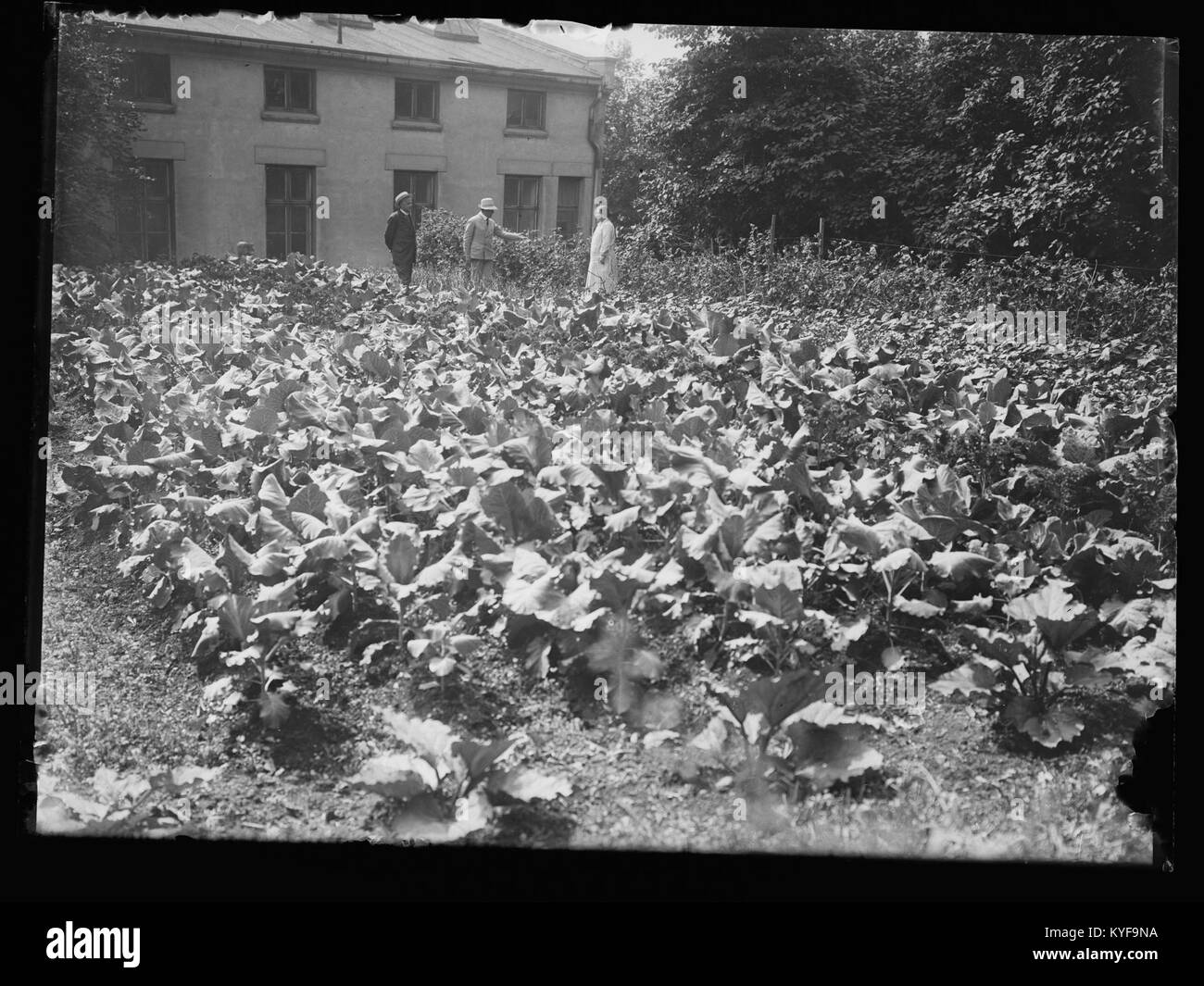 Le centre de réadaptation de Vanføreklinkken à Tr.hjemsvn, Norvège, fournit des soins médicaux, de la physiothérapie et des services de réadaptation aux personnes handicapées. Banque D'Images