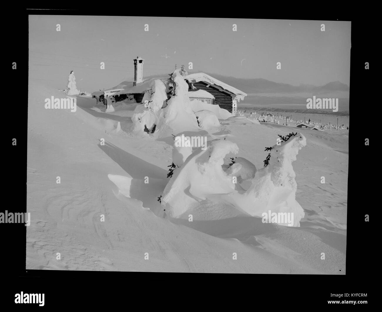 Paysage hivernal à Sjusjøen, Norvège, montrant un terrain enneigé, des arbres et des zones de loisirs pour le ski et les activités hivernales de plein air. Banque D'Images