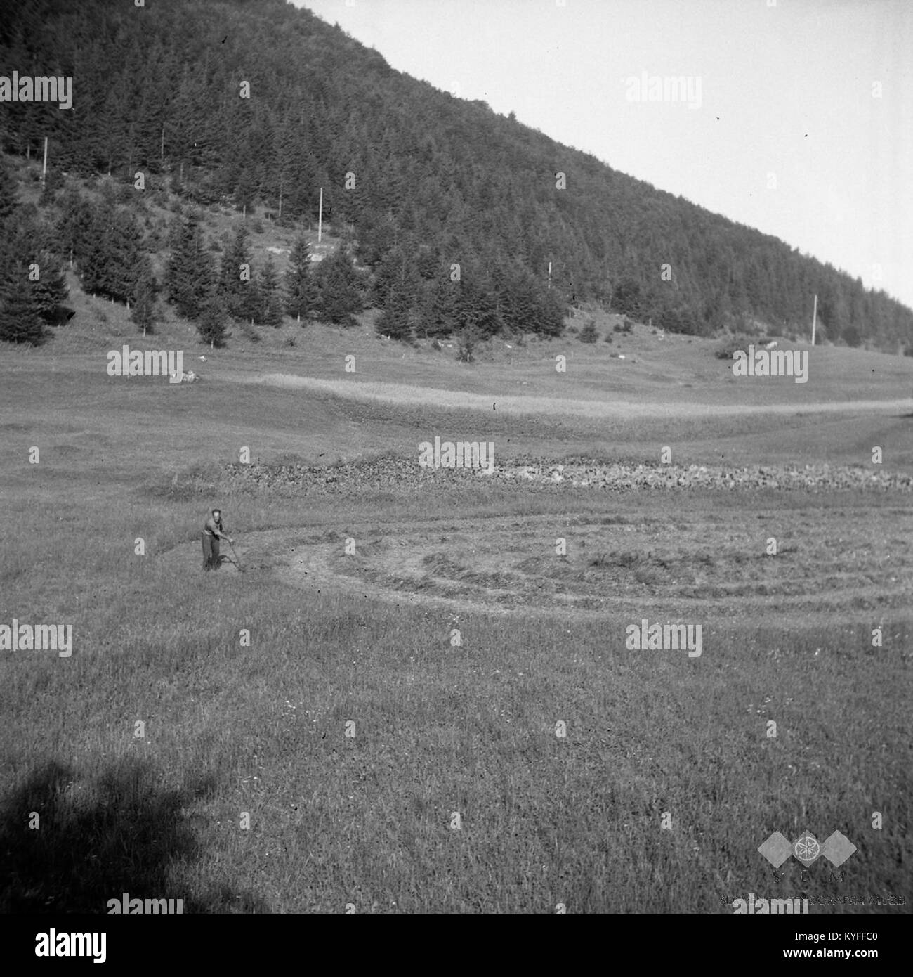 Cette photographie de 1959 représente une unité militaire à Zahum, en Slovénie, fauchant du foin en formation circulaire, mettant en valeur les pratiques agricoles traditionnelles. Banque D'Images