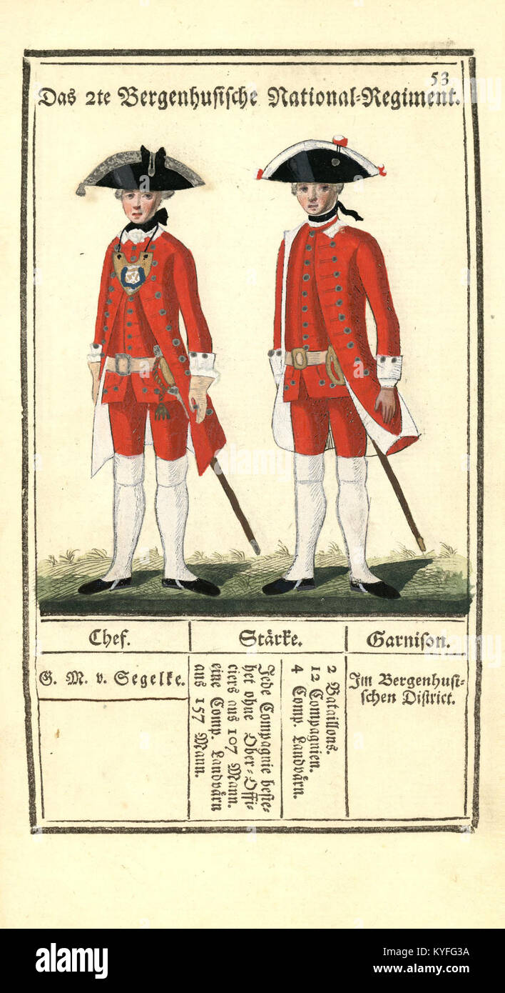 L'armée royale danoise au XIXe siècle est représentée, illustrant sa structure organisationnelle, ses uniformes, ses régiments et son arrangement militaire global au Danemark. Banque D'Images