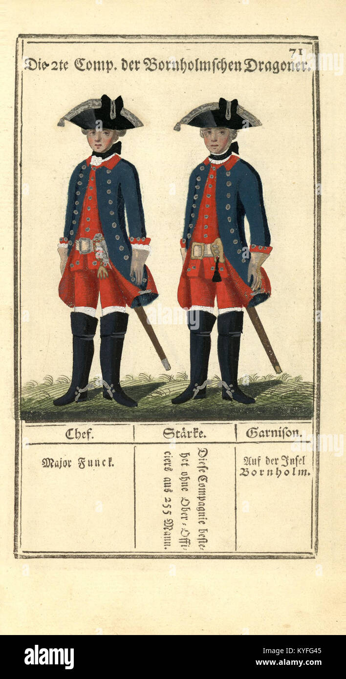 Vue détaillée de l'armée royale danoise, présentant des soldats en uniforme, disposés en formations avec des armes, mettant l'accent sur la hiérarchie militaire et l'organisation historique. Banque D'Images