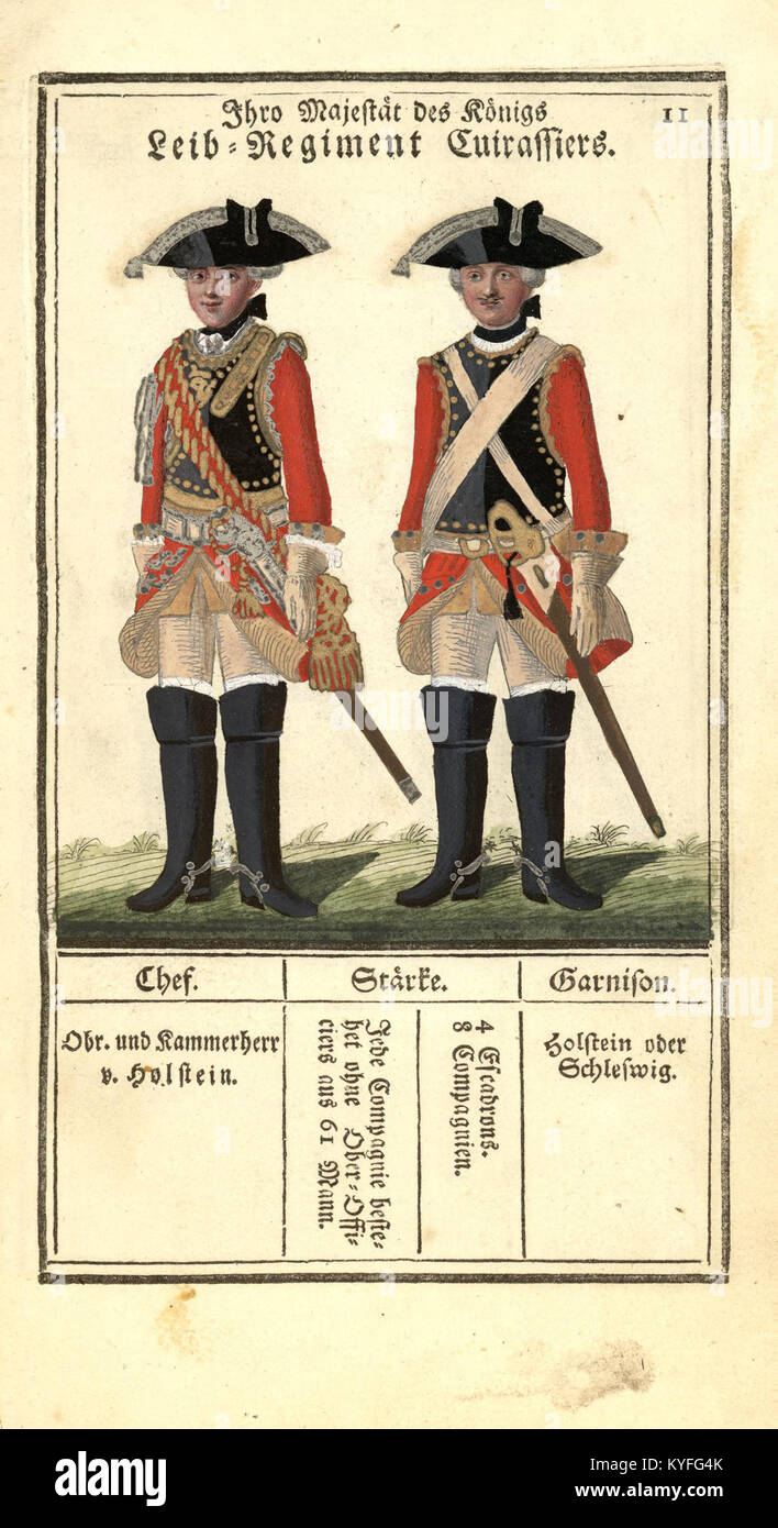 Cette image historique présente l'ensemble de l'Armée royale danoise, mettant en évidence l'organisation militaire, les régiments et les aspects cérémoniels des forces au Danemark. Banque D'Images