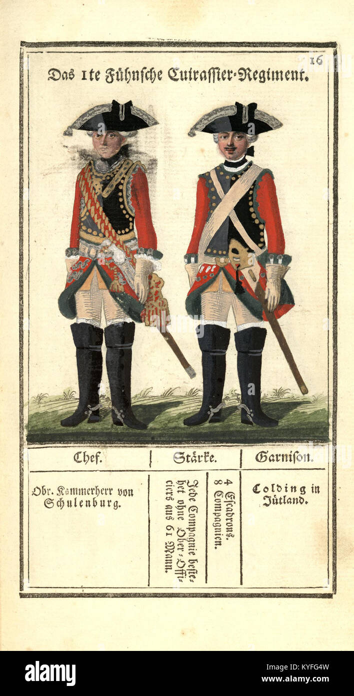Une présentation complète de l'Armée royale danoise, montrant son organisation, ses uniformes, ses régiments, ses rangs, et structure au xixe siècle. Banque D'Images