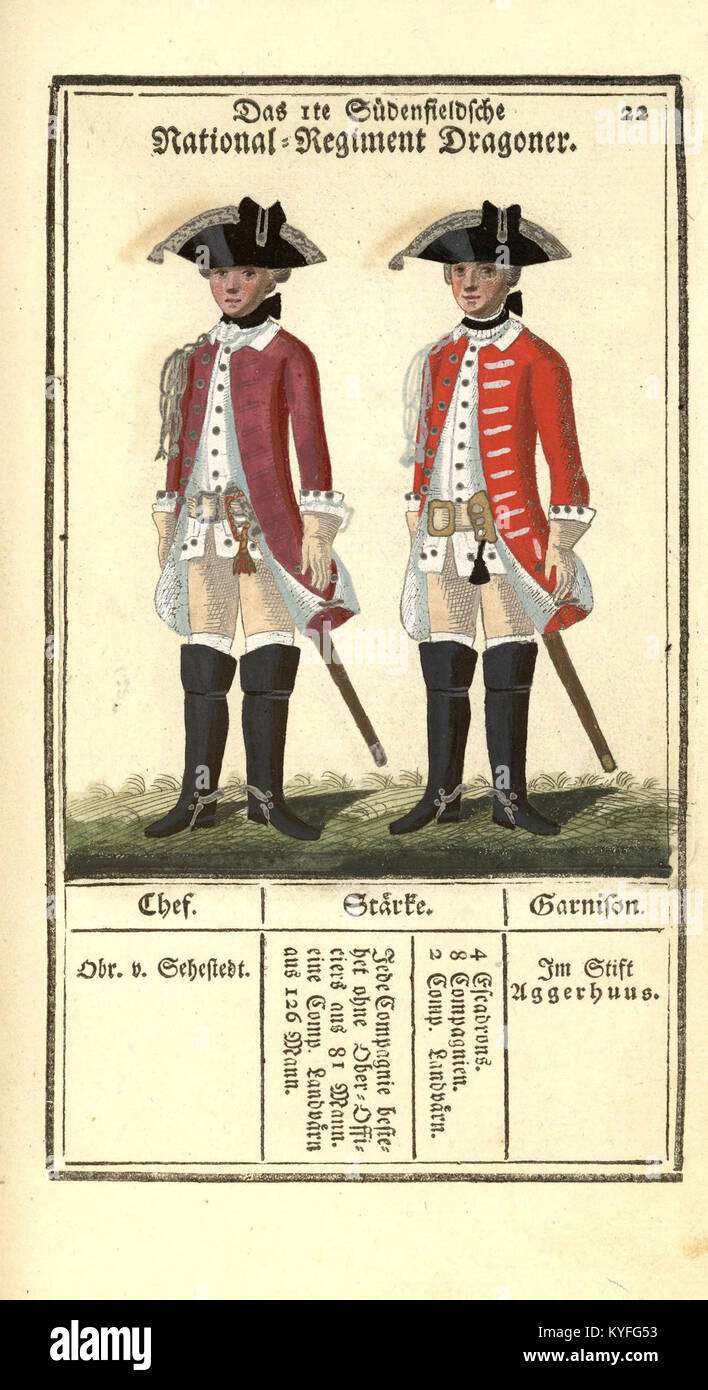 Cette représentation historique montre l'ensemble de l'armée royale danoise, illustrant son organisation, ses régiments et sa structure militaire au cours de la période documentée. Banque D'Images