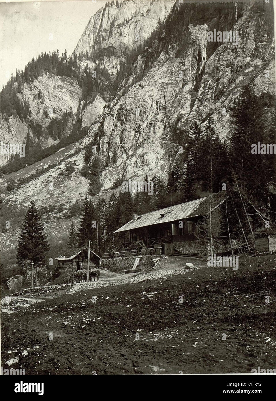 Le Wodnerhütte fonctionne actuellement comme une station d'aide temporaire, fournissant une aide humanitaire et des services de secours à la population locale. Banque D'Images
