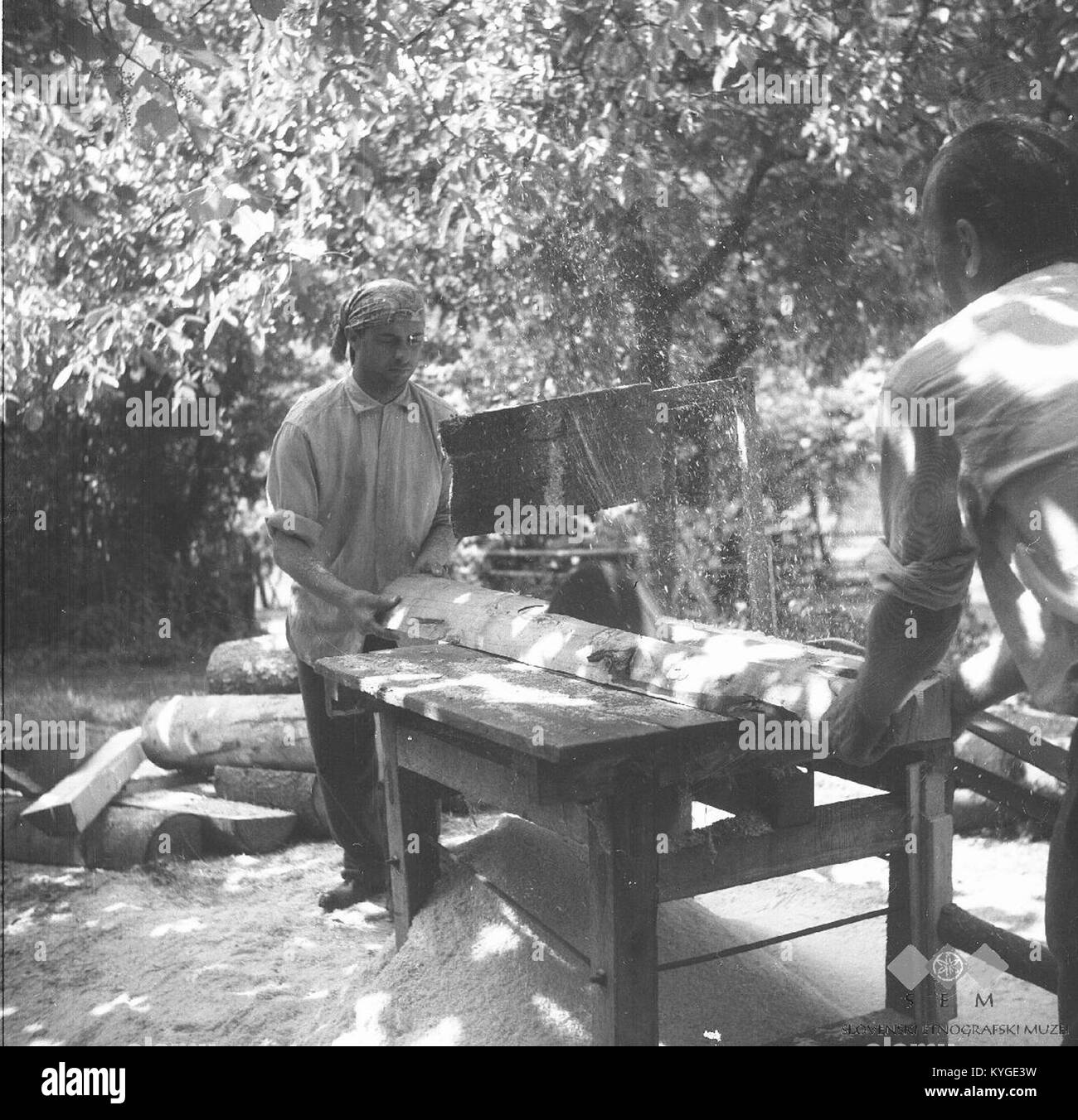 Cette photographie de 1964 représente des ouvriers coupant du bois pour des caisses à l'usine Zmuc à Male Lipljene, illustrant les méthodes traditionnelles de travail du bois et les pratiques industrielles de l'époque. Banque D'Images
