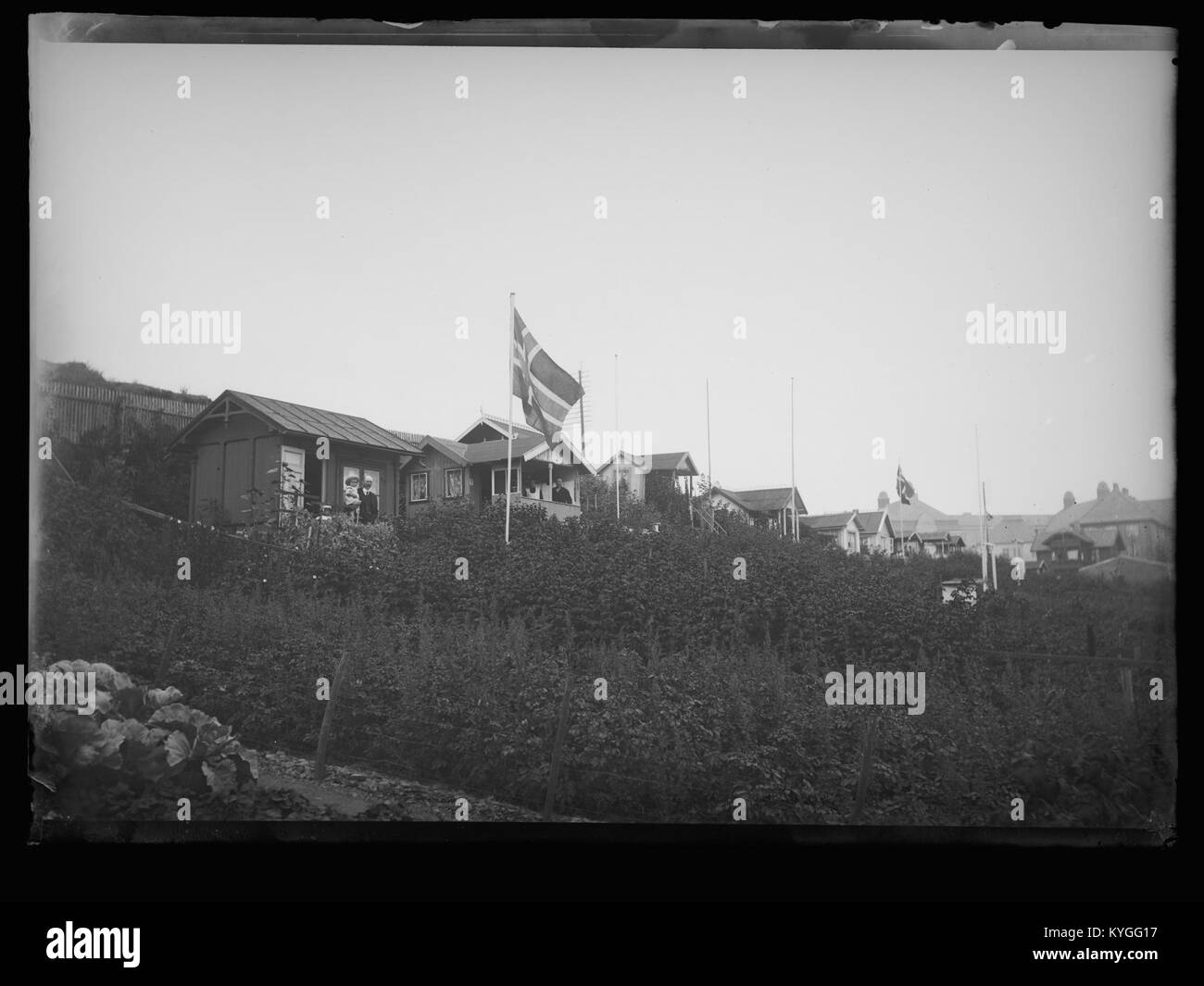 Photographie d'un petit jardin à Rodelkåken, Norvège, montrant la culture traditionnelle des plantes et l'aménagement d'une ferme rurale. Banque D'Images