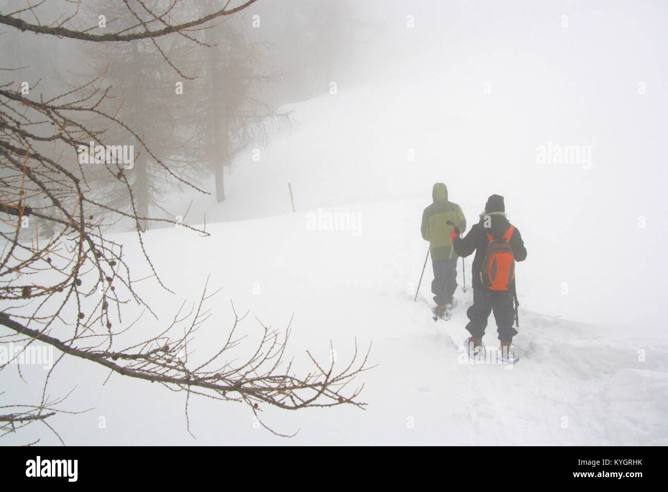 Randonnées dans la forêt blanche Banque D'Images