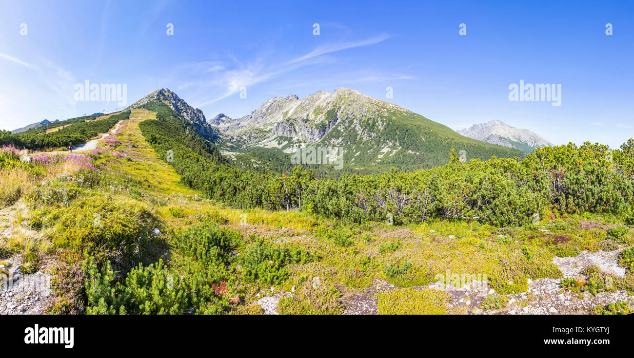 Pittoresque panoramique vue d'été de Hautes Tatras Strbske Pleso, près de Slovaquie. Predne Solisko mont (2091m) sur le côté gauche Banque D'Images